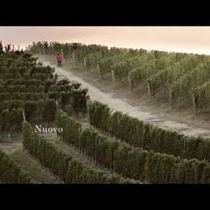 Gianmaria Testa - Nuovo