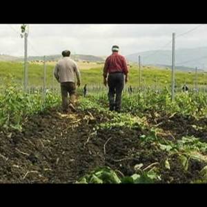 Un'altra Corleone, Un'altra Sicilia Trailer