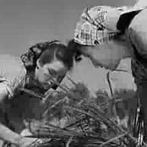 Sfruttamento... ribasso... Riso Amaro